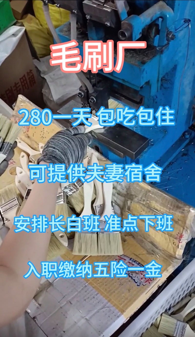 信息咨询:这个美女来到看一眼就上手了#打工人 #找工作 #毛刷 #工厂